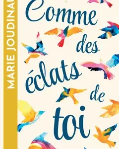 Comme des éclats de toi De Marie Joudinaud