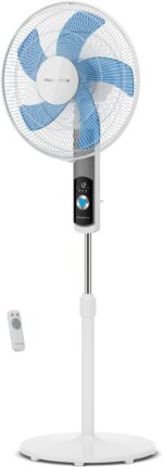 51w0GJwEptL._AC_SX679_