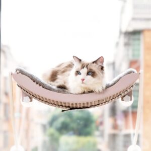Lits suspendus pour chat, confortable, fenêtre ensoleillée, support de montage, 15kg, solide, lit, étagère, hamac pour chats