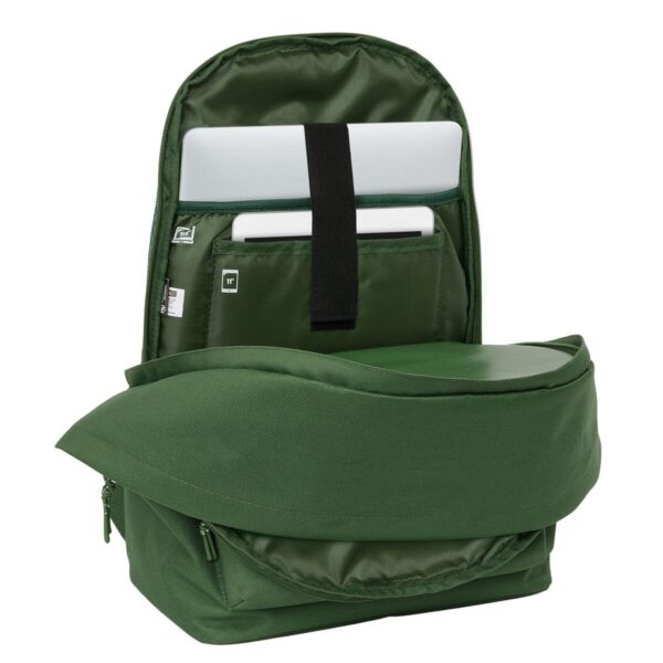 S4311169_1 S4311169_1