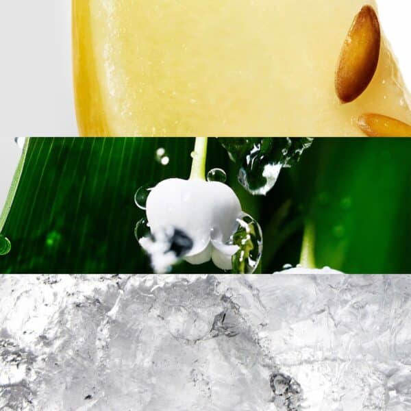 V0600120_9 V0600120_9