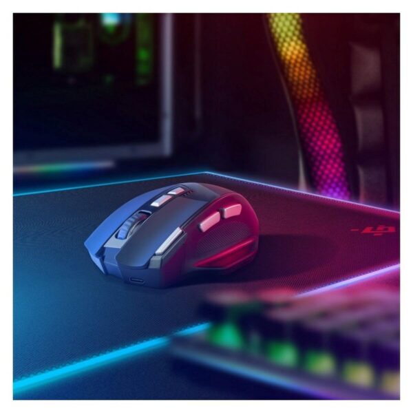 S91115313_7 S91115313_7