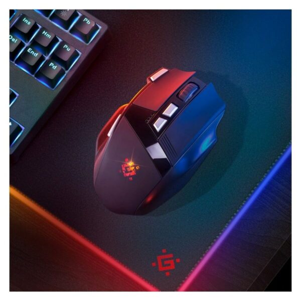 S91115313_8 S91115313_8