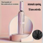 product-fancy-e6396018-8bac-4f94-a8e3-9f2eb822c5f3