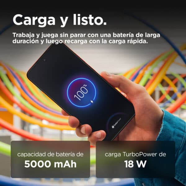 S5633798_9 S5633798_9