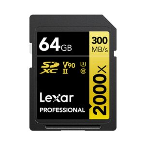 Carte Mémoire SD Lexar LSD2000064G-BNNNG 64 GB
