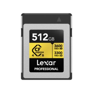 Carte Mémoire SD Lexar LCXEXP4512G-RNENG 512 GB