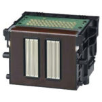 4960999481326_M0504401_P00