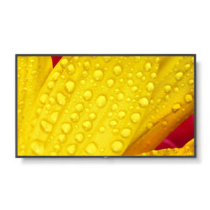 Écran NEC 60006084 50" 4K Ultra HD