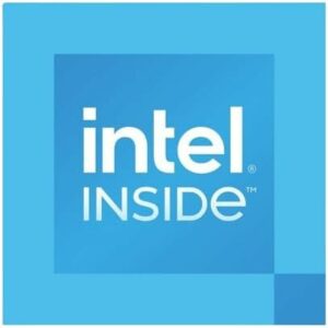 Processeur Intel Processor 300 LGA 1700