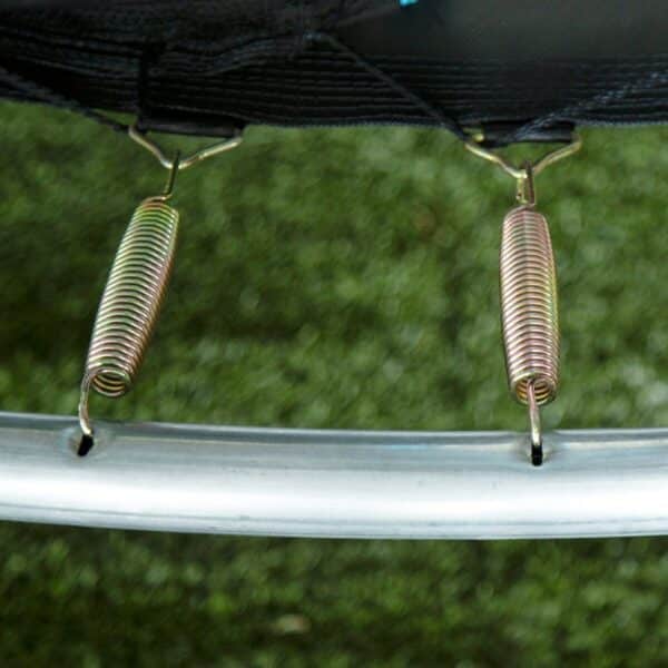 S8905512_1 S8905512_1