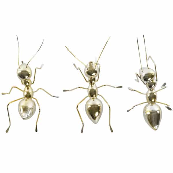 S3043241_0 S3043241_0