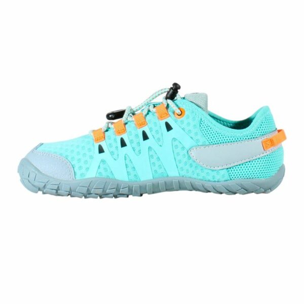 S64185631_1 S64185631_1