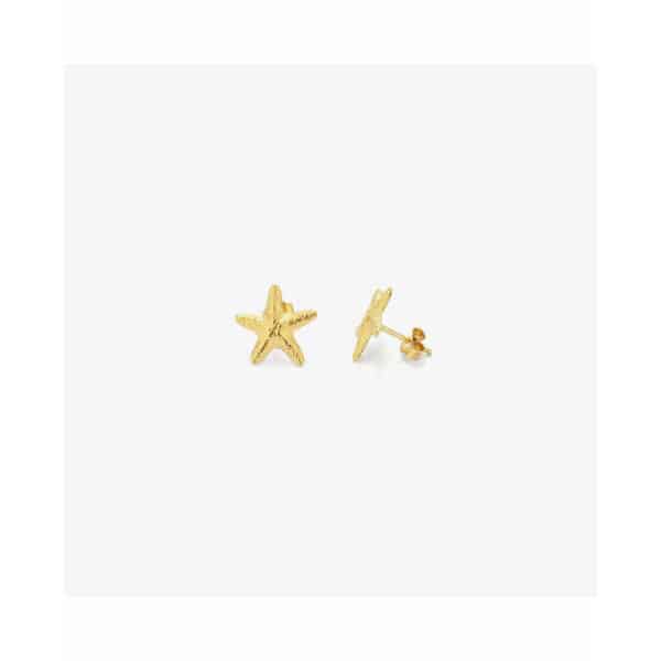 S0381946_1 S0381946_1