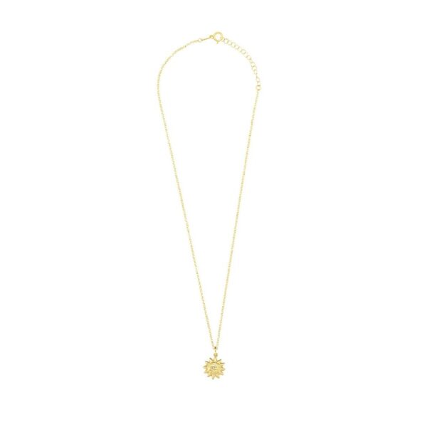 S0381962_1 S0381962_1