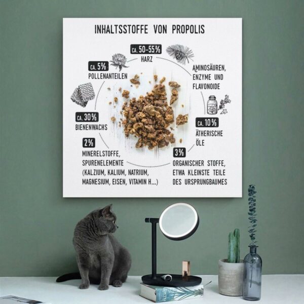 S71017635_11 S71017635_11