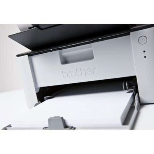 S9124391_2 S9124391_2