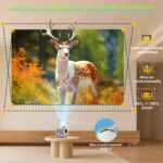 product-fancy-ea1c5d12-3736-4a19-886b-c6d36d24dd87