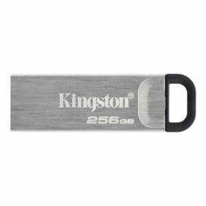 Clé USB Kingston Noir 256 GB