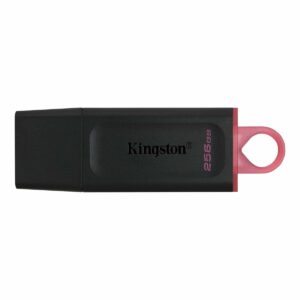 Clé USB Kingston DTX/256GB Porte-clés Noir 256 GB