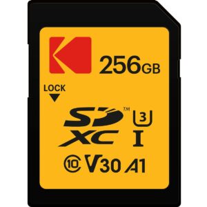 Carte Mémoire Kodak EKMSD256GXC10HPRK