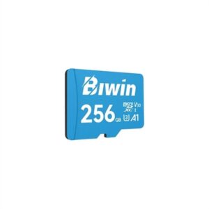 Carte Mémoire Micro SDXC Biwin MS100 256 GB