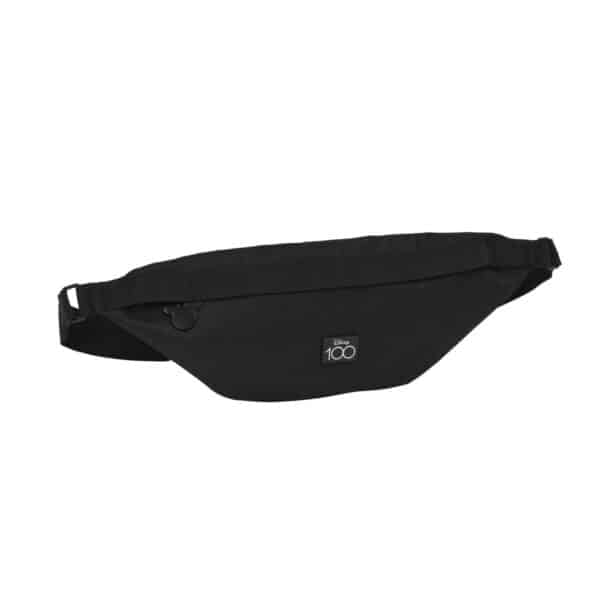 S4308284_0 S4308284_0