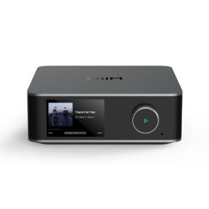 Récepteur de Musique Sans Fil Wiim WIIM ULTRA