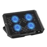 8435364319710_S0244396_P10