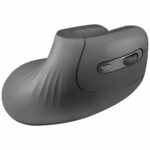 8435693103950_S7830666_P10