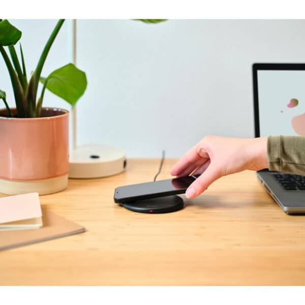 S55276021_3 S55276021_3