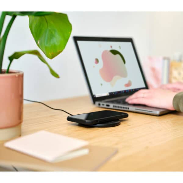 S55276021_2 S55276021_2