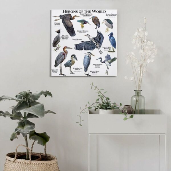 S0244530_31 S0244530_31